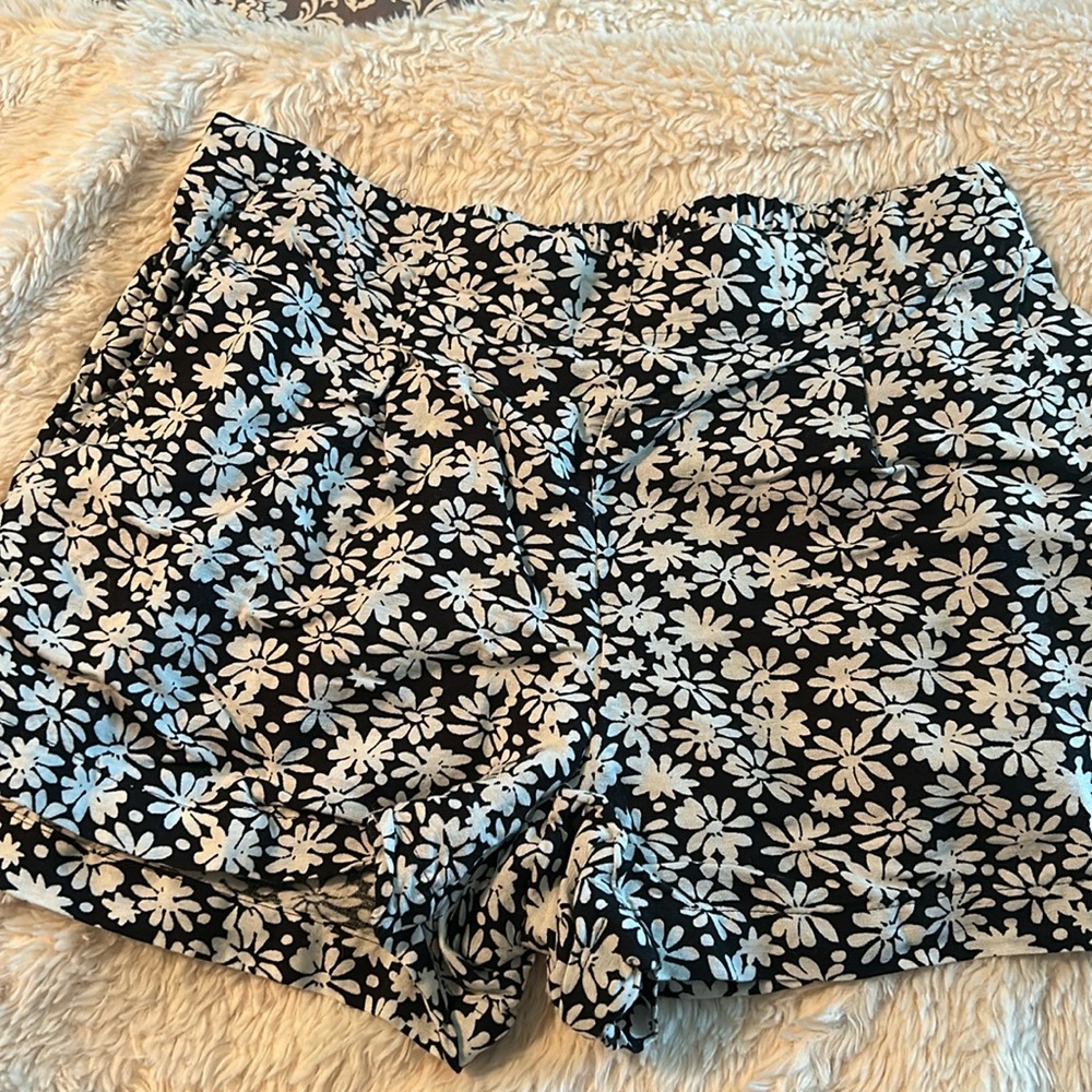 Loft shorts